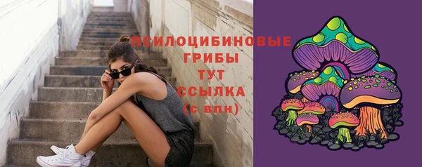 прущая мука Армянск