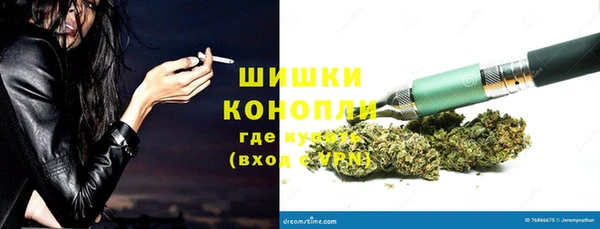дмт Заводоуковск