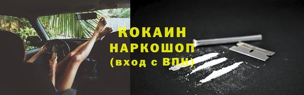 СК Богородицк