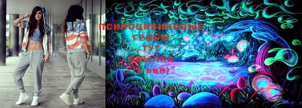 крисы Верхний Тагил