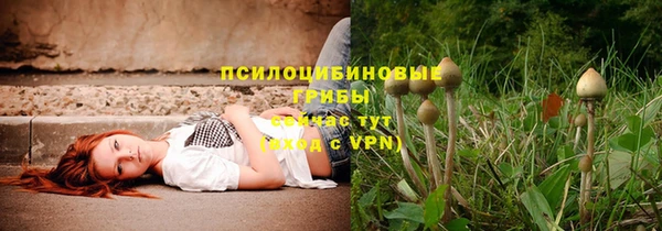 СК Богородицк