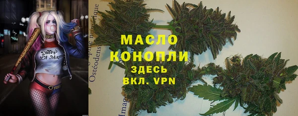прущий лед Бородино