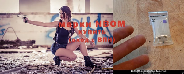прущий лед Бородино